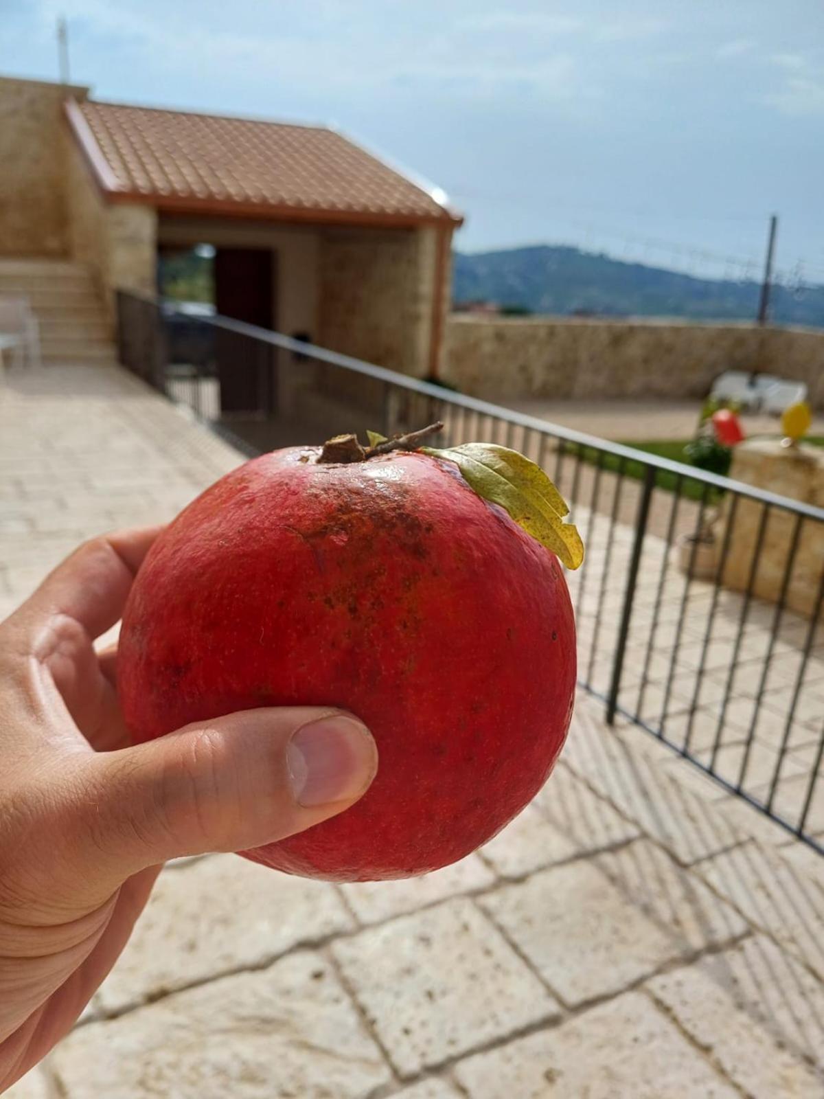 Masseria Torre Saracena Agrigent Exterior foto